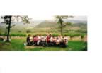 Pic Nic alla vigna di Perazzeta, sullo sfondo Montenero (16kb)